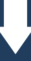Download Fleet Management Services as a PDF
